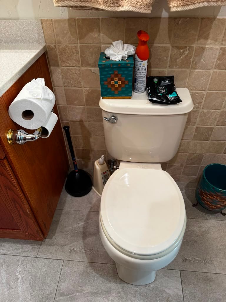 Cleaned toilet with decorative toilet paper